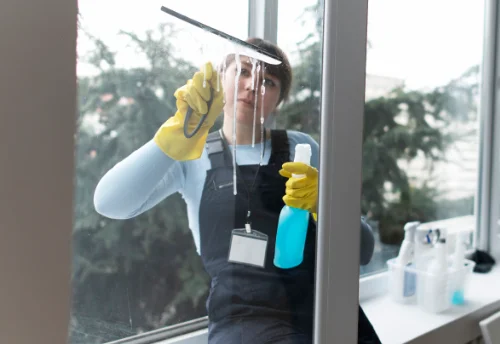 Nettoyage de vitres intérieures et extérieures à Rezay